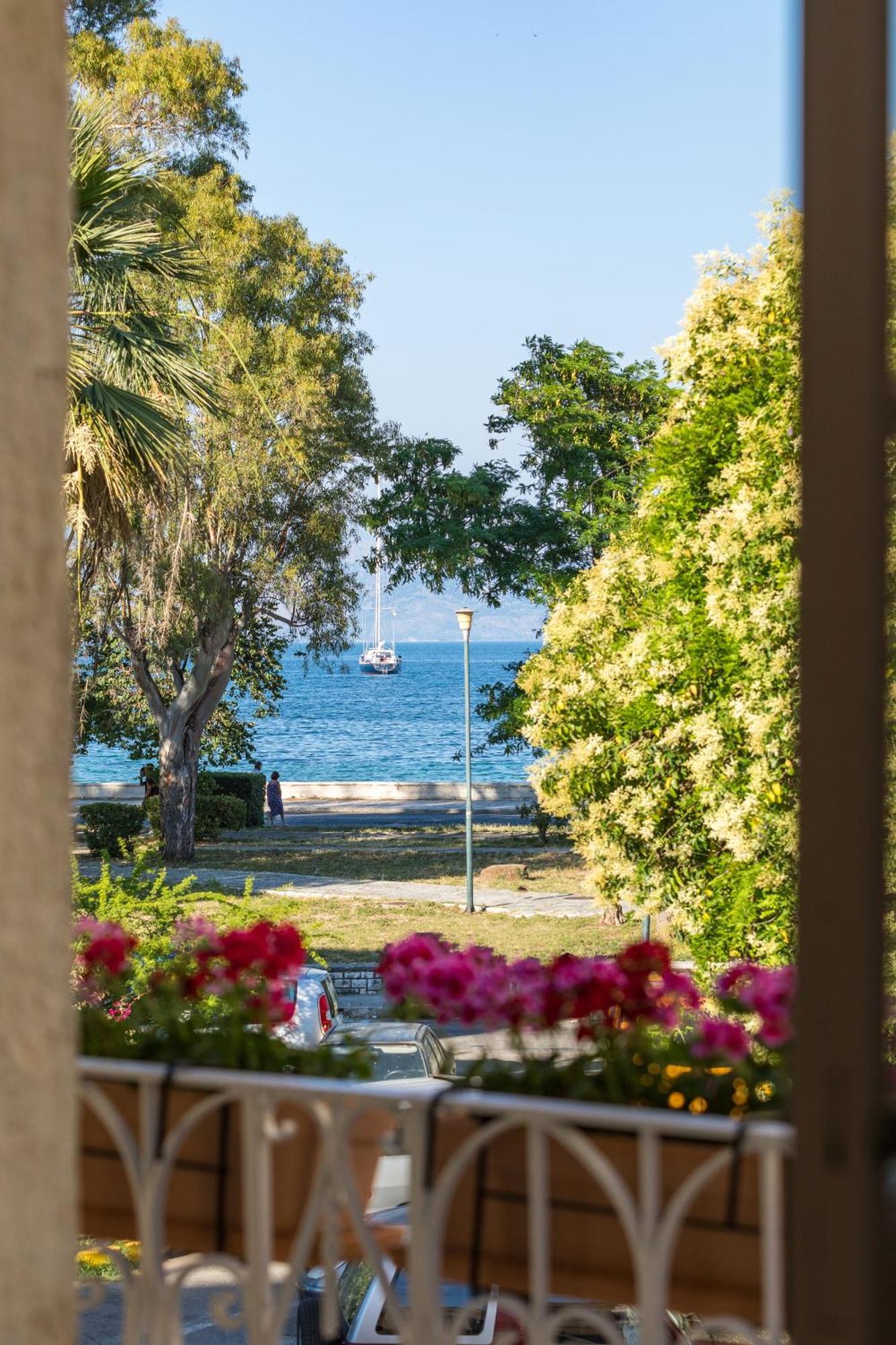 Acanthus Blue Corfu  Camera foto